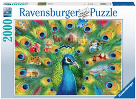 Ravensburger Puzzel Land van de Pauw