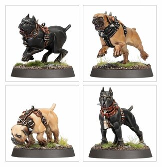 Warhammer Age of Sigmar Cities of Sigmar Regiment of Renown: Ven Denst's Hounds