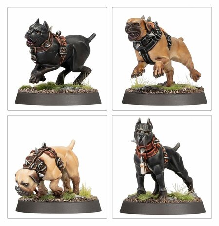 Warhammer Age of Sigmar Cities of Sigmar Regiment of Renown: Ven Denst's Hounds